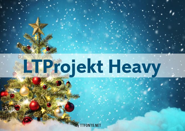 LTProjekt Heavy example